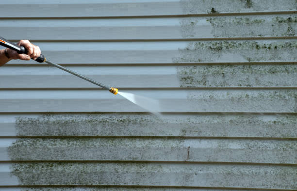 Best House Exterior Washing  in Emporia, VA